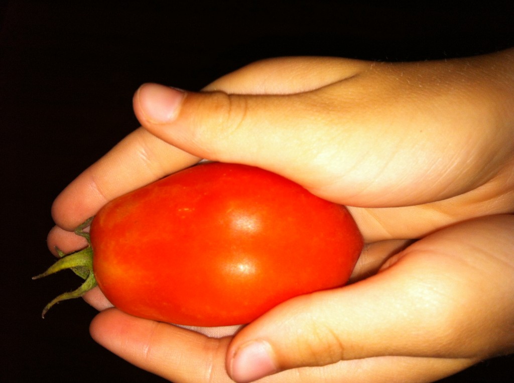 Marinated Tomatoes