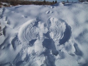 snow-angel_w725_h544