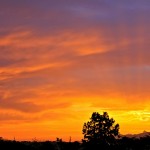 Think Sunrise
